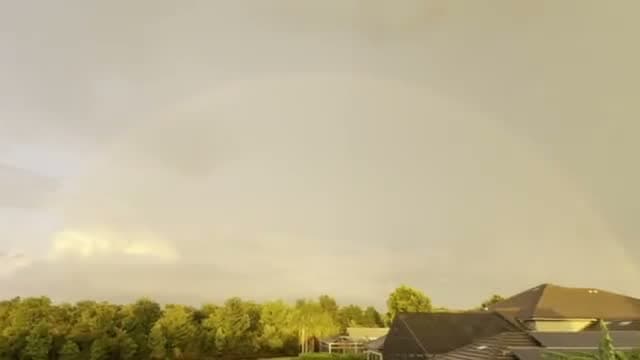 A rainbow over the treeline after rain